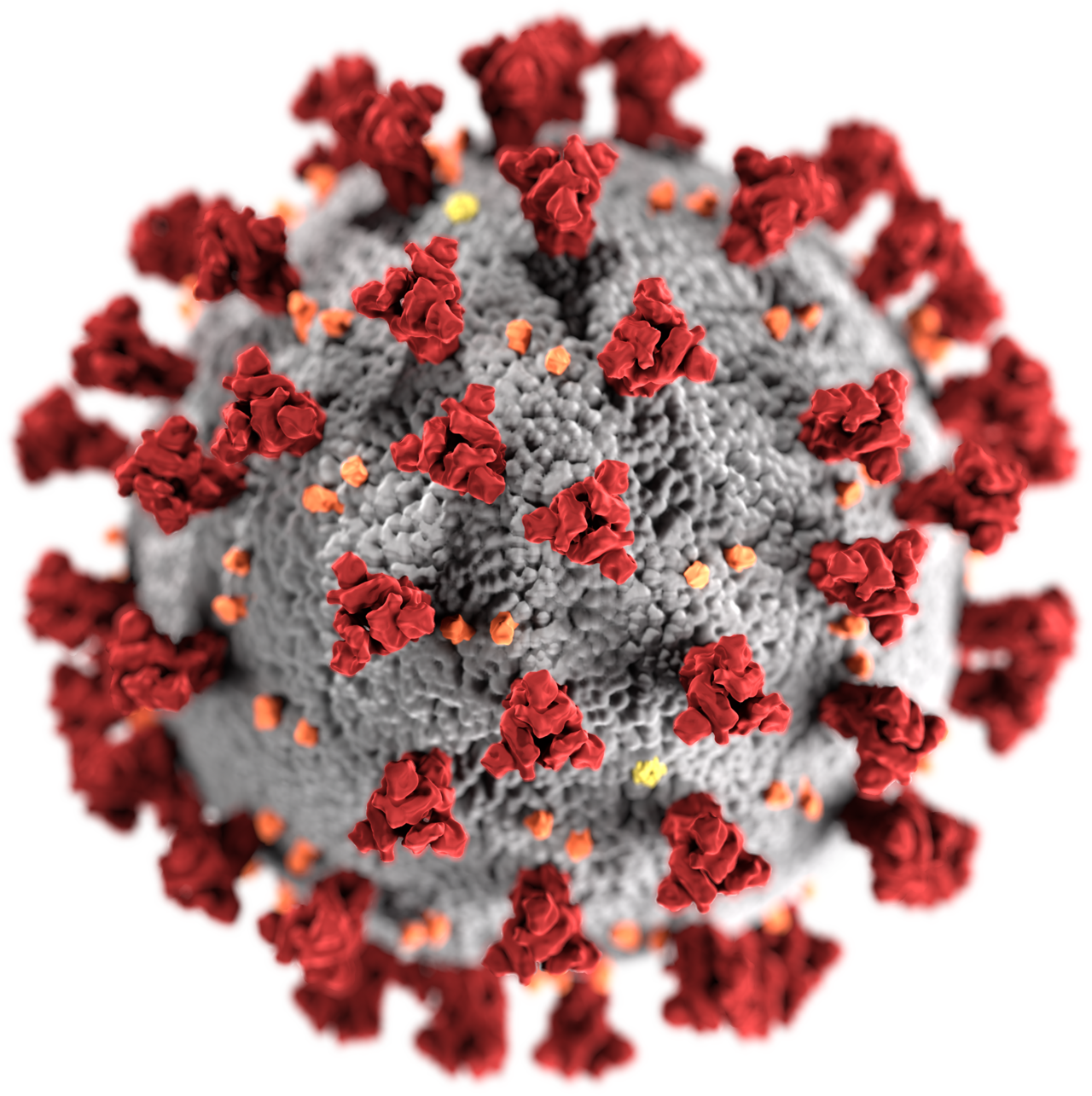 Coronavirus molecule.